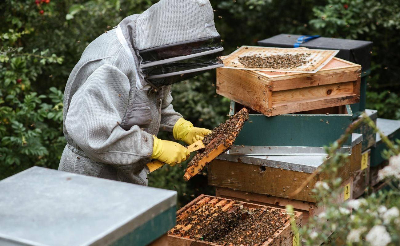 Beekeepers Behind Kyrgyzstan’s World