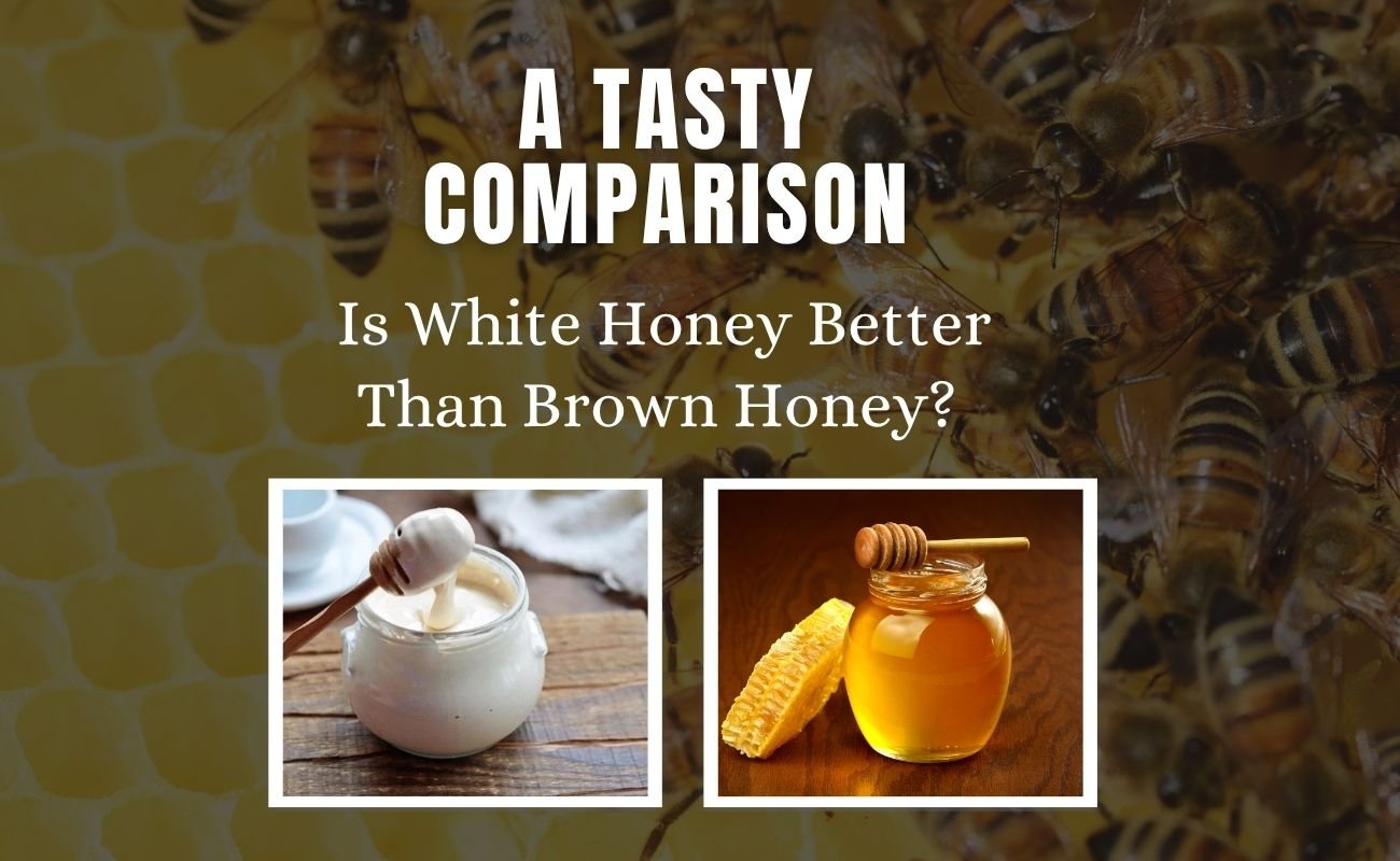 Is White Honey Better Than Brown Honey
